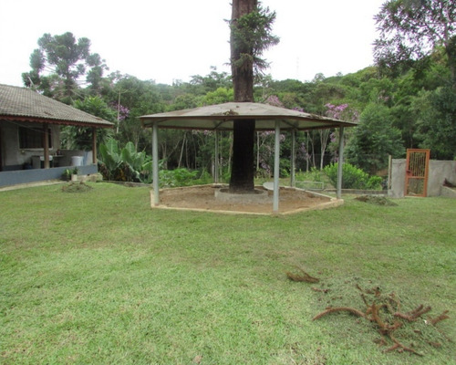 Chacara - 04536 - 33229180