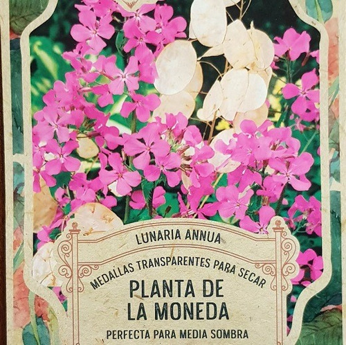 Pack Semillas Planta De La Moneda - Lunaria X 30 Semillas