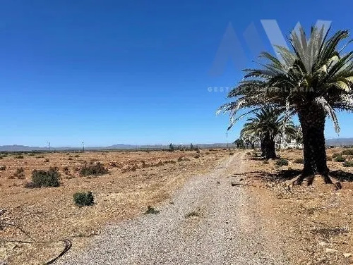 Propiedad Agrícola En Venta, Ovalle 72 Hectáreas