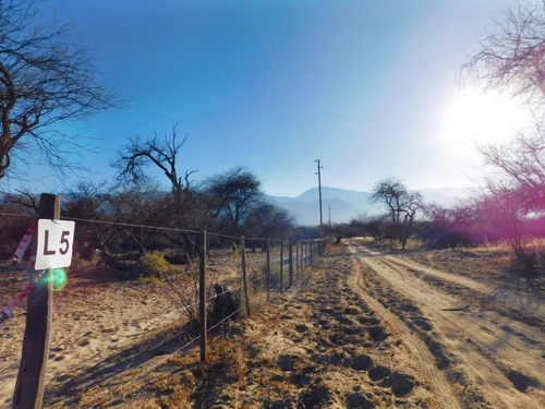 Lotes De 1 Ha. A La Venta Sobre Ruta Nacional 68, Cafayate