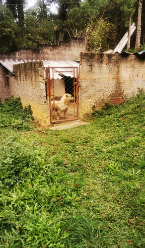 Chacara Em São Lourenço Da Serra Bairro Fazenda Vitória