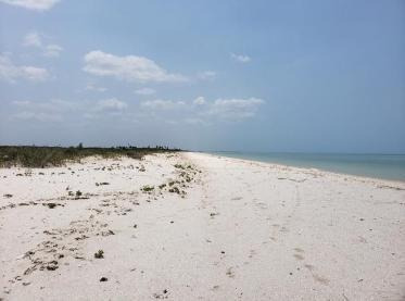 Terrenos En Venta En Playa De Sisal, Yucatán