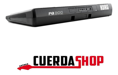 Imagen 3 de 5 de Teclado Korg Pa300 Arranger 61 Teclas