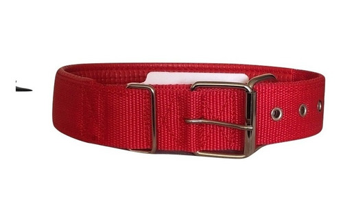 Collar Deportivo Para Perro Talla Xxl