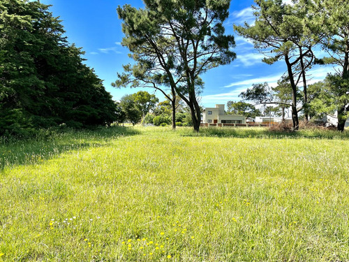 Terreno - Balneario Mar De Cobo