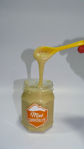 Pack 4 Unidades Miel Batida 500g 100% Natural Envase Pet