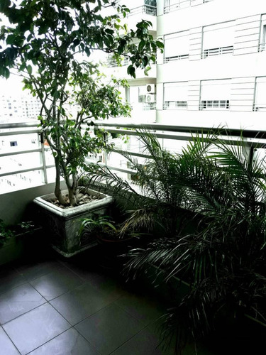 Departamentos Alquiler Palermo