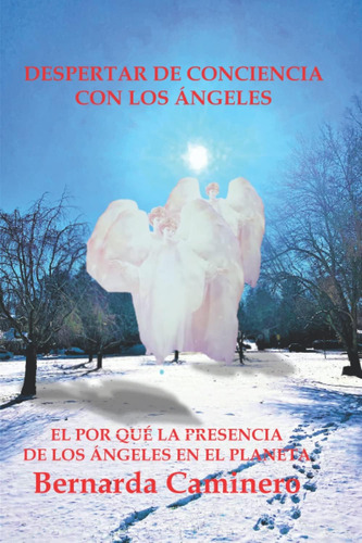 Libro Despertar De Conciencia Con Los Angeles (spanish Editi