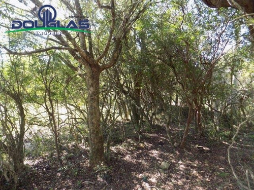 Lindo Sítio 2 Hectares Ótima Localização - 1535