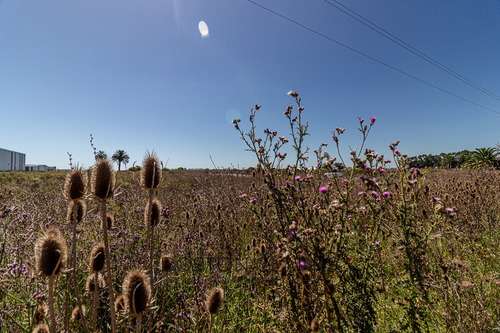 Terreno En Venta En Camino Buffa 