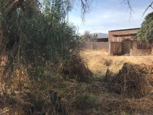 Imagen 7 de 12 de Terreno En Venta La Tinaja