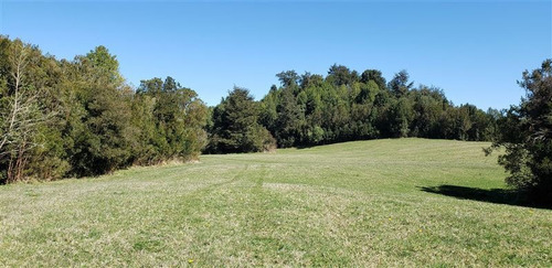 Imagen 5 de 16 de Agrícola En Venta En Río Bueno