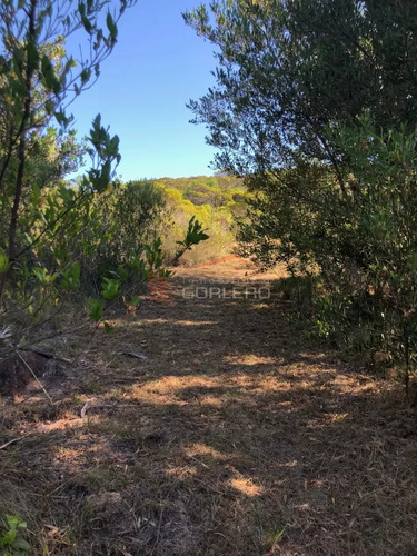 Escpectacular Vista!!, Se Vende Chacra Con Casa En Zona De Maldonado A 5 Km De Ruta 39