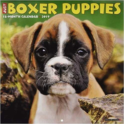 Just Boxer Puppies 2019 Wall Calendar (dog Breed Calendar)
