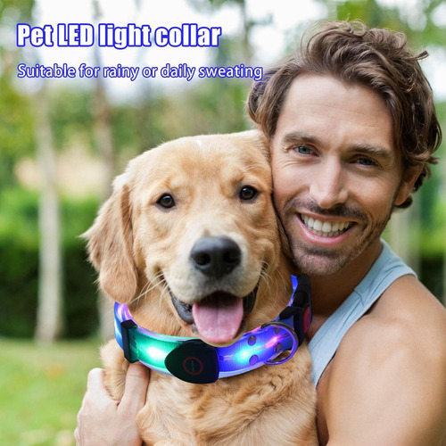 2025 Collar Con Luz Led Para Perros Collar Para Perros Que