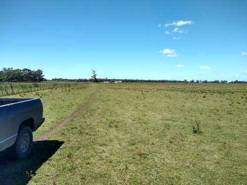 Imagen 14 de 30 de Latorre Prop Vende Campo De 34 Hectareas En Cobo