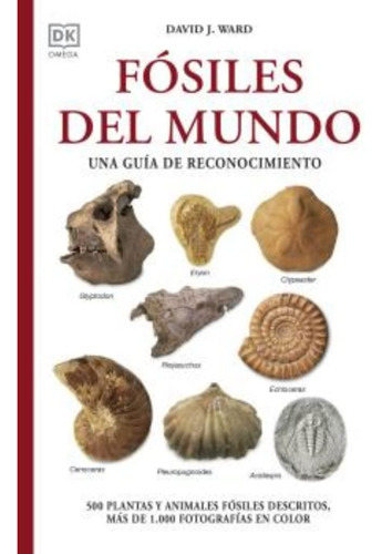 Fósiles Del Mundo, De Ward; David J.. Editorial Omega Ediciones, Tapa Blanda, Edición 1 En Español, 2023