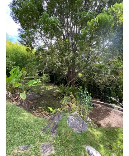 Casa En Venta En Oripoto