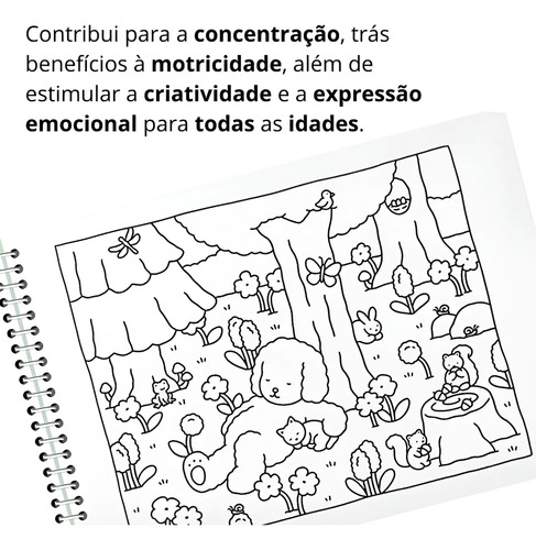 Livro De Colorir Bobbie Goods Capa Dura Desenhos Variados