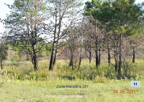 Imagen 4 de 26 de Terreno En Venta En Rocha, Zona De Punta Del Diablo, Bosque De La Viuda