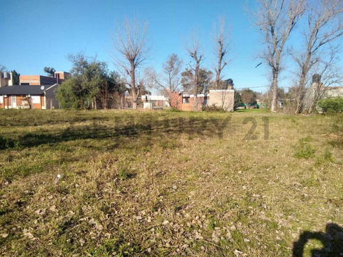 Terreno  -  Lote - 320 M2 - Pueblo Andino