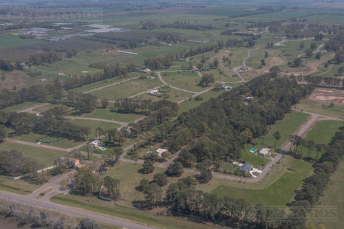 Terreno - Los Pinares C. Club