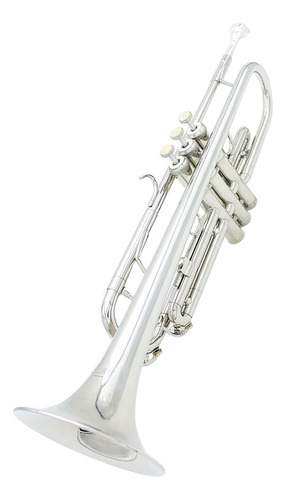 Trompet Brass Exquisite B Trompeta Plana Con Guantes Bb