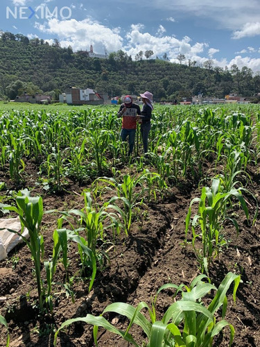 Imagen 11 de 11 de Terreno En Venta En San Diego, Ayapango, Estado De México