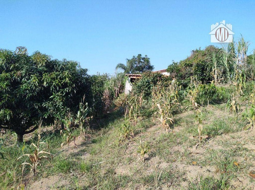 Imagem 17 de 24 de Linda Chácara Com 2 Dormitórios, Piscina, Jardim, Pomar, À Venda, 5523 M² Por R$ 380.000 - Zona Rural - Pinhalzinho/sp - Ch1230