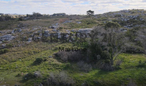 Imagen 1 de 5 de Venta De Excelente Lote En Tandil