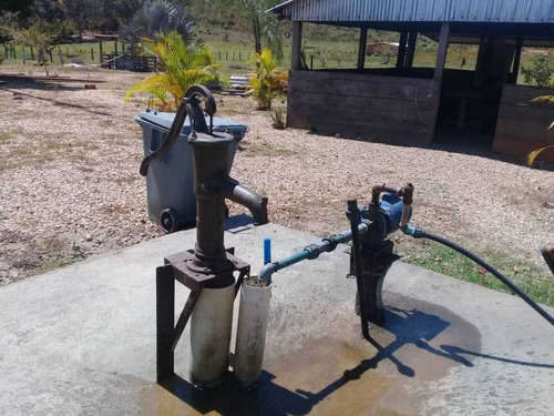 Imagen 30 de 30 de Finca De 440 Has En Cojedes-acarigua. 3 Pozos De Agua, Electricidad.