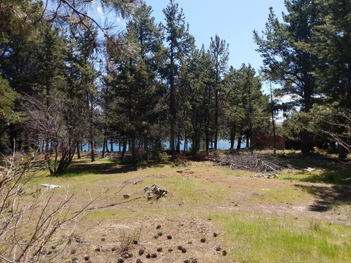 Imagen 6 de 10 de Terreno - Dina Huapi