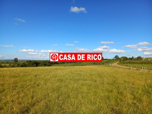 Imagem 8 de 10 de Sitio A Venda Em Ibaiti Pr - 641