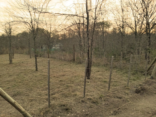Imagen 4 de 6 de Venta De Lote De 400m2 Ubicado En Casa Grande