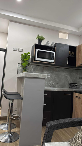 Apartamento En Alquiler Nuevo 1 Habitación Desamparados