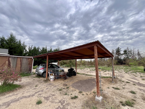 Casa Cómoda Con Plantación De Nogales En Producción