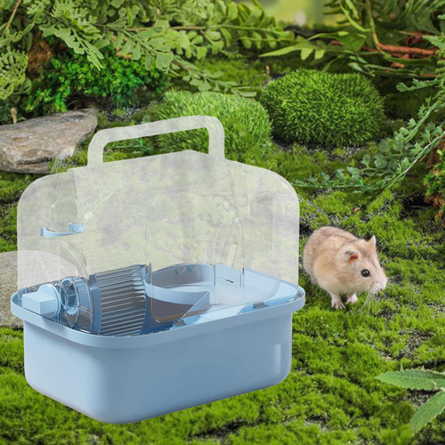 Hamster Cage Ejercicio De Juego De Juego Con Hábitat Azul