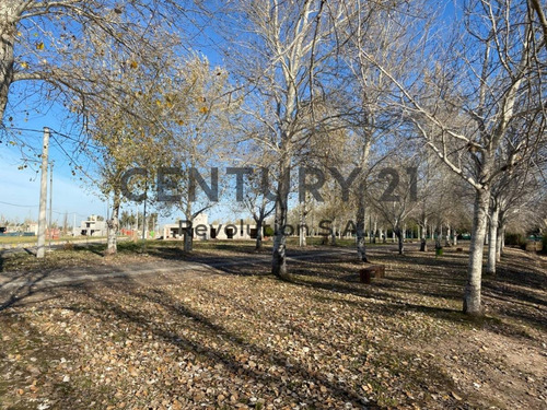 Imagen 8 de 11 de Terreno De 392 M2 En Pinares Del Sur - Piñero