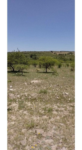 Imagen 2 de 4 de Terreno En La Falda