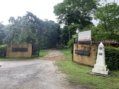 Imagen 13 de 14 de Venta Finca Tocuyito Carabobo Cod. 148247