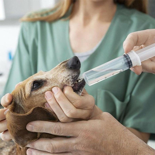 Jeringa Para Uso Veterinario, Mxspy-001, 1 Pza, 500 Ml
