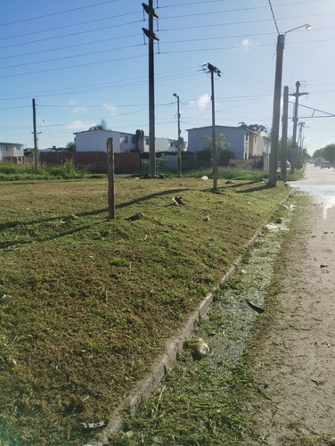 Terreno En Esquina, En Romulo Noya Y Pividal Dueño Directo.