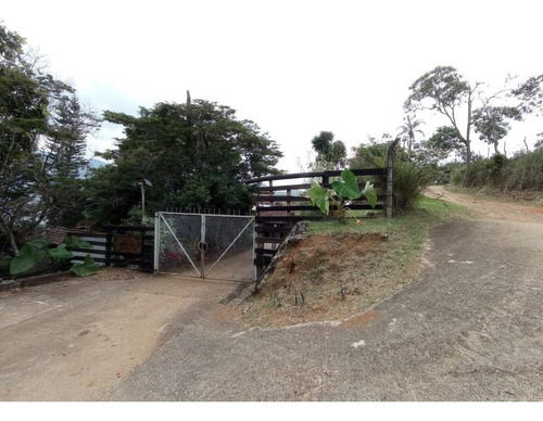Imagen 2 de 17 de Finca En Arriendo En Cali Pance