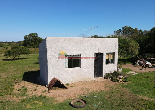 Imagen 3 de 8 de Terreno Con Mejoras En Los Cerrillos, 5000 M2 Sobre Ruta.