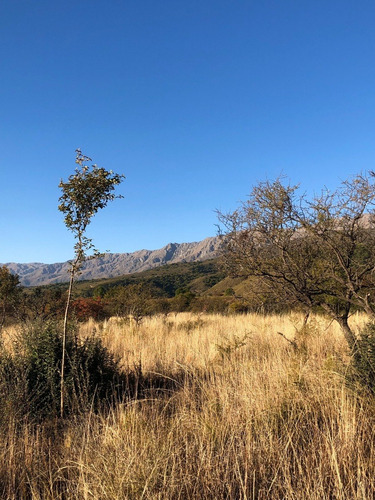Imagen 7 de 13 de Lote En Barrio Los Olivares De Los Hornillos / Traslasierra Con Escritura