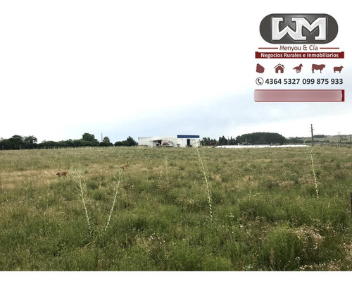 Venta Chacra Flores 1 Hectárea A 3 Km De Trinidad Flores