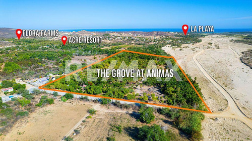 The Crown Jewel At Las Animas, San Jose Del Cabo, Mls #23-131