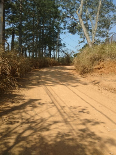 Imagem 8 de 16 de Terreno A Venda No Itaquaciara/mombaça - Te00009 - 32420434