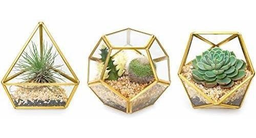 Terrario De Cristal Geométrico 3 Piezas No Incluye Plantas