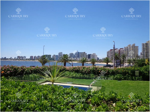 Con Piscina Propia, Espectacular Vista Y Ubicaciónalquiler Y Venta Puerto